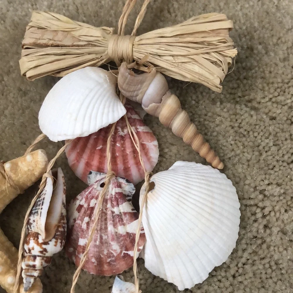2 for $12! Seashell and raffia hanging doorway decor (set of 2) - Picture 7 of 14